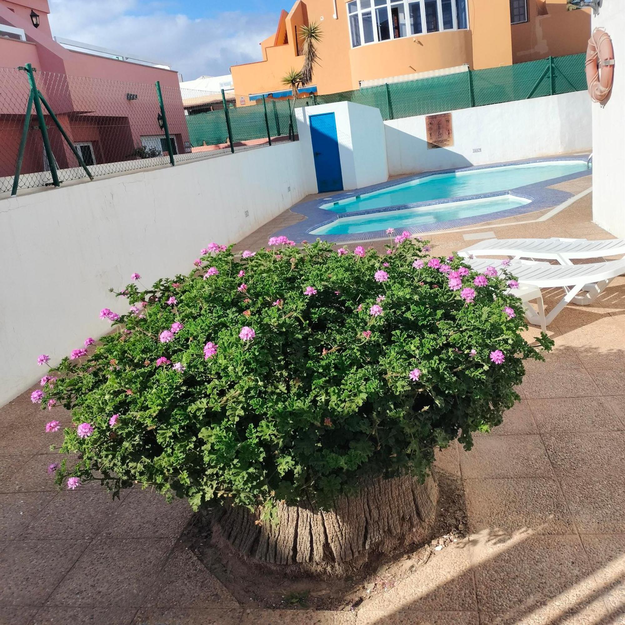 Alipatri Appartement Caleta De Fuste